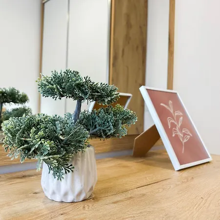 Апартаменты Bregu Дуррес