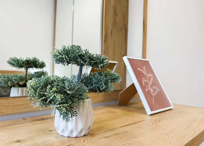 Апартаменты Bregu Дуррес